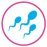 Fertility
