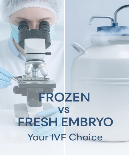 Frozen Embryo Transfer vs Fresh Cycle – Which Is Right for You?